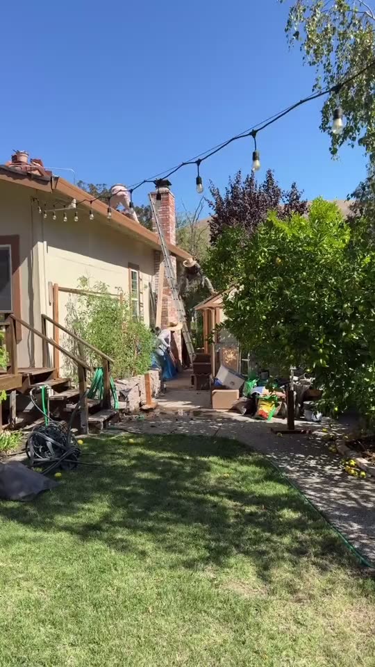 Ground-level view of a house and yard, from the backyard